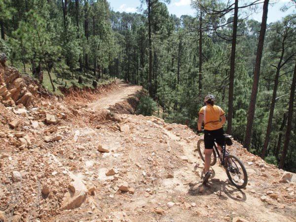 Uttarakhand Resort กอซานี ภายนอก รูปภาพ