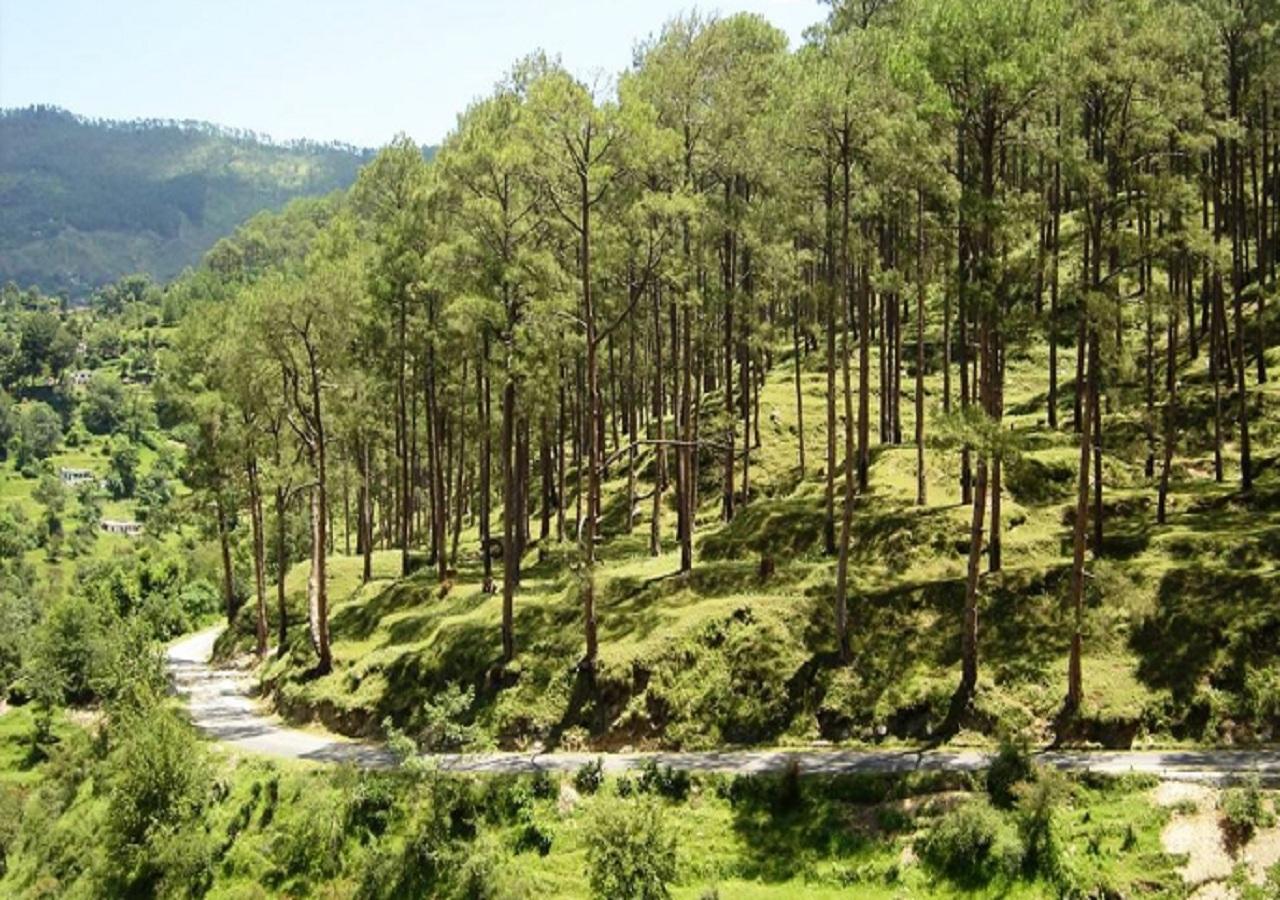 Uttarakhand Resort กอซานี ภายนอก รูปภาพ